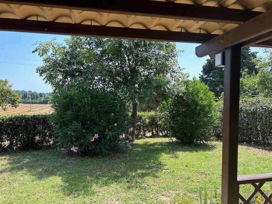 Ferienwohnung La Capparuccia Civitanova Marche Exterior foto
